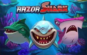 Razor shark(レーザーシャーク)
